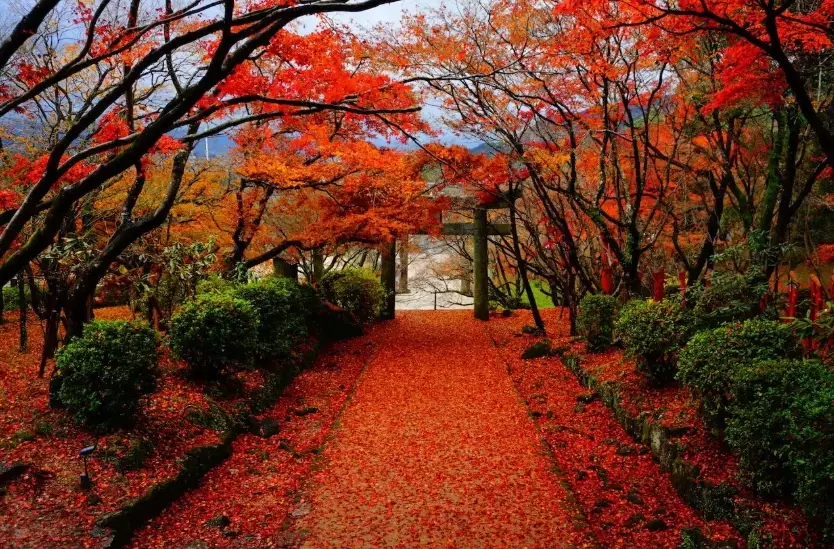 best time to visit Fukuoka