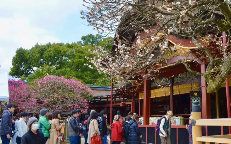 things to do in Fukuoka