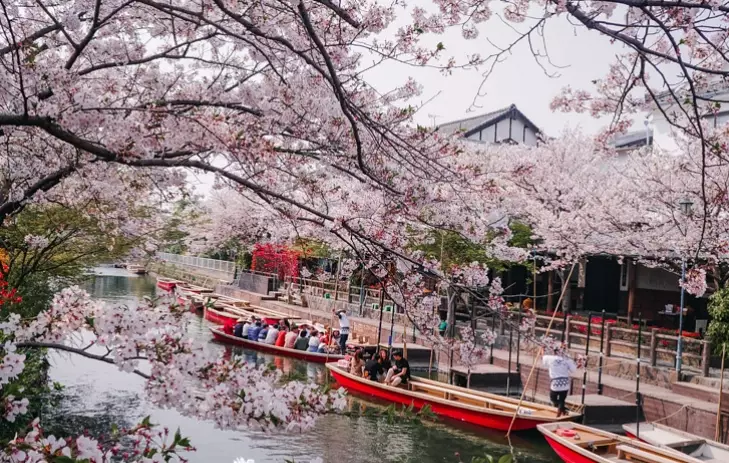 things to do in Fukuoka