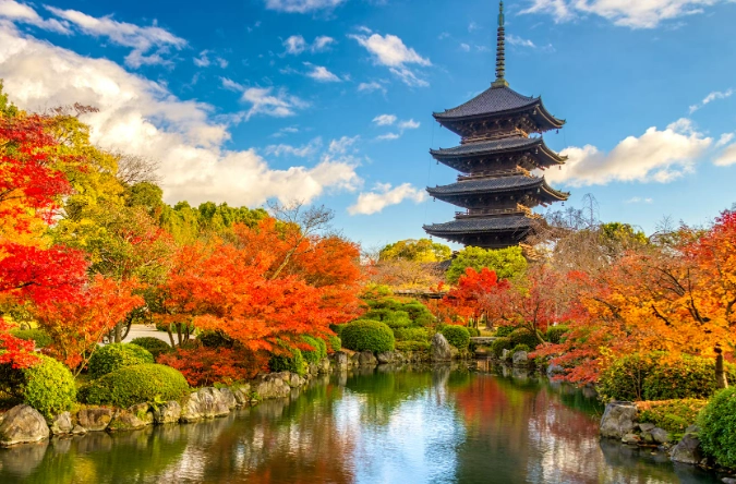 The Ultimate Japan Travel Planner: Your Step-by-Step Guide to a Perfect Trip