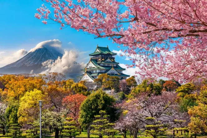 Japan travel planning