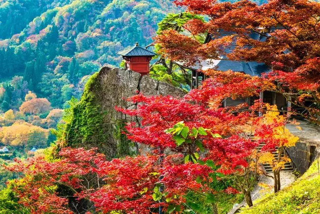 Yamagata City travel