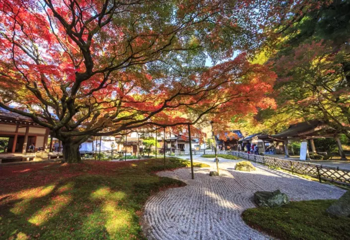 things to do Fukuoka autumn