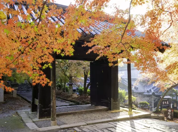 Fukuoka weather November