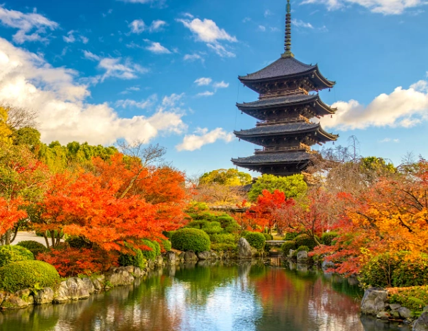 Best Places to Visit in Japan: Ultimate Travel Guide & Top Destinations