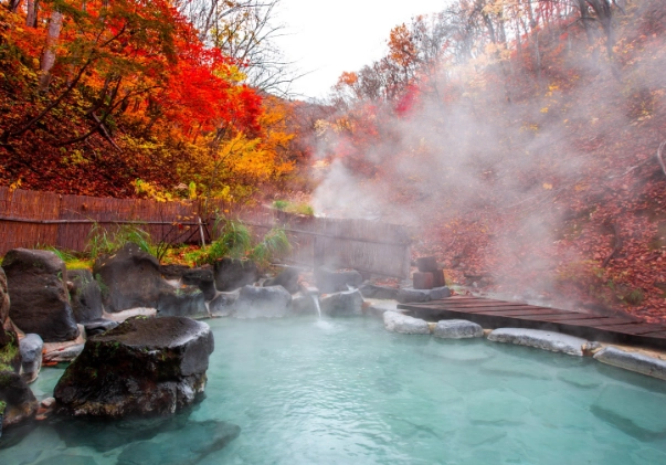 japanese bathhouse rules japanese bathhouse rules