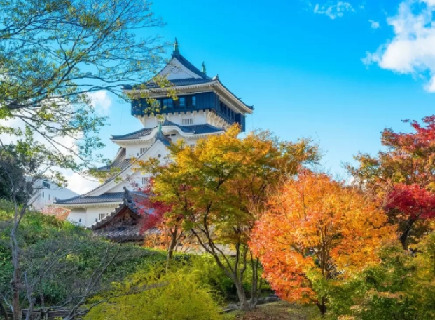 Fukuoka November travel