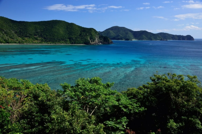 things to do in Kyushu things to do in Kyushu