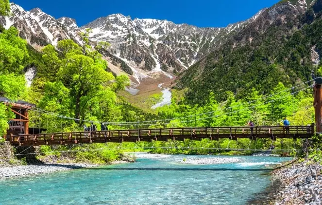 Snow Monkeys Japan Snow Monkeys Japan