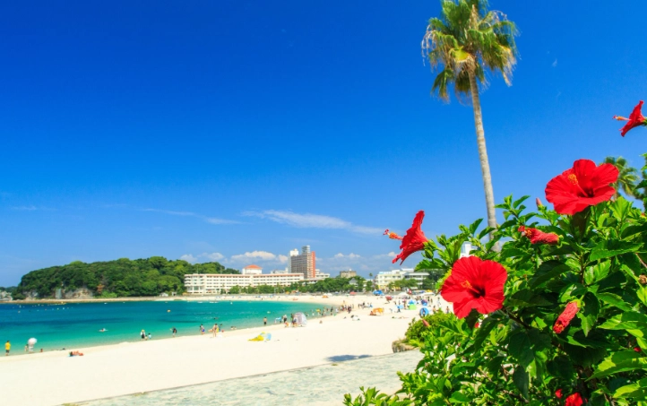 Is it safe to swim in Japan