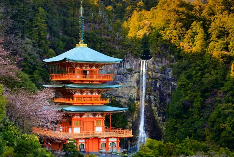 what to do in Wakayama