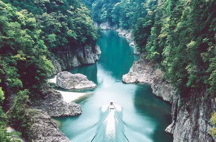 what to do in Wakayama