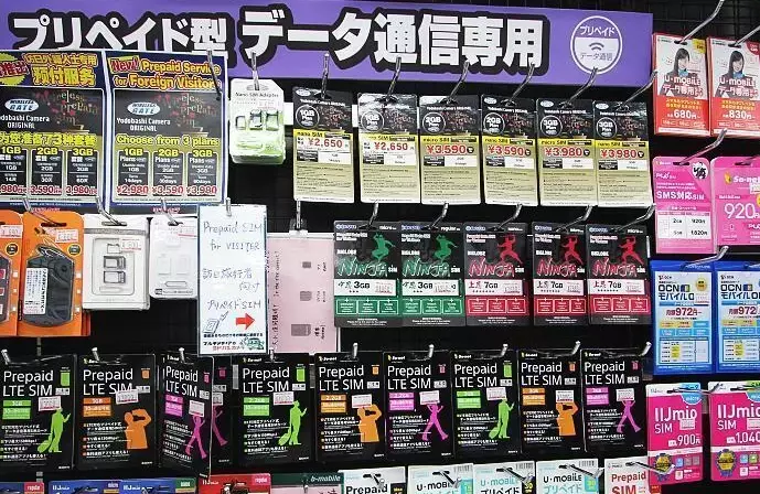 monthly expenses Tokyo