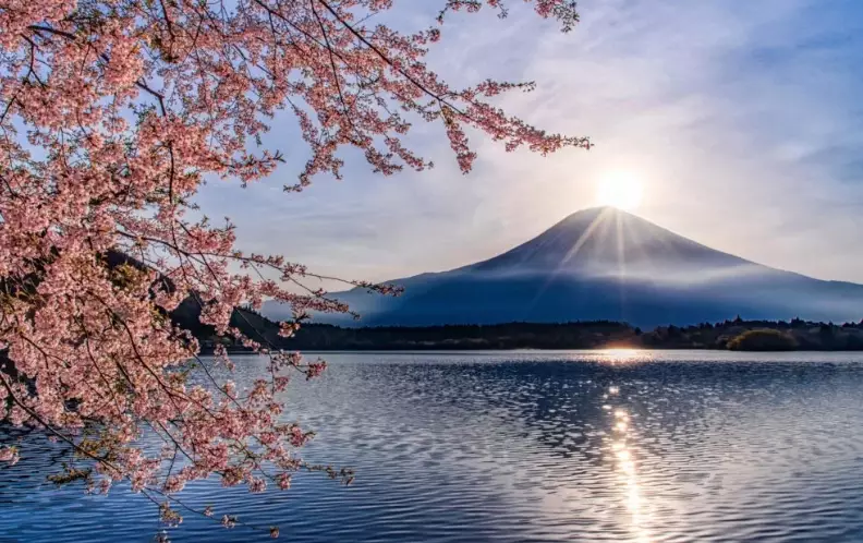 things to do in Shizuoka things to do in Shizuoka