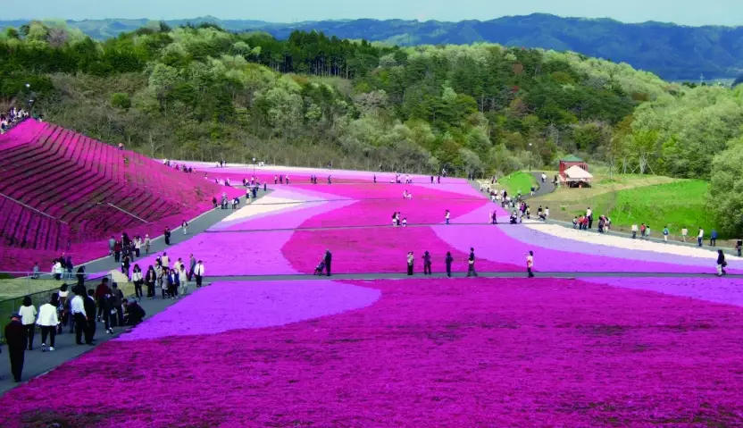 Tochigi travel guide