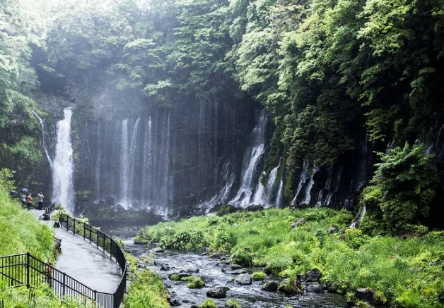 Shizuoka green tea Shizuoka green tea