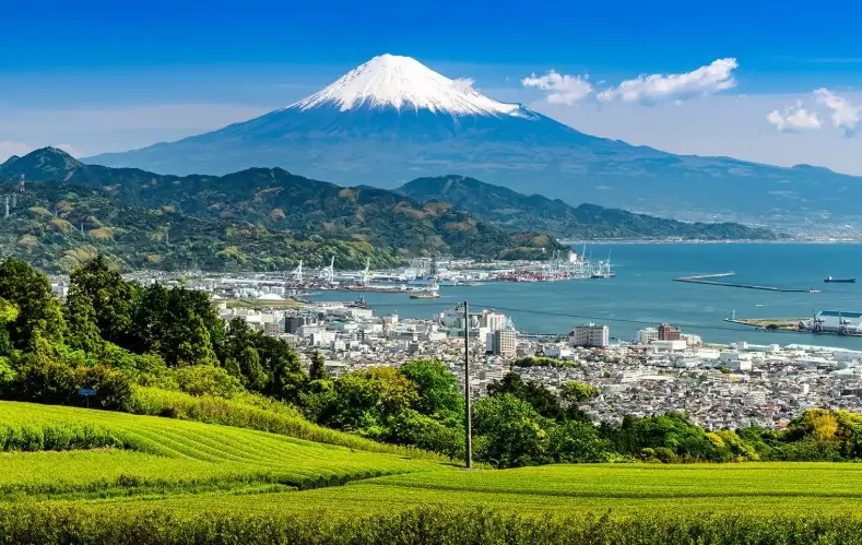 Discover Shizuoka: Japan's Fuji, Green Tea & Coastal Treasures