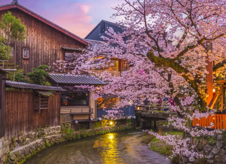 things to do in Kyoto