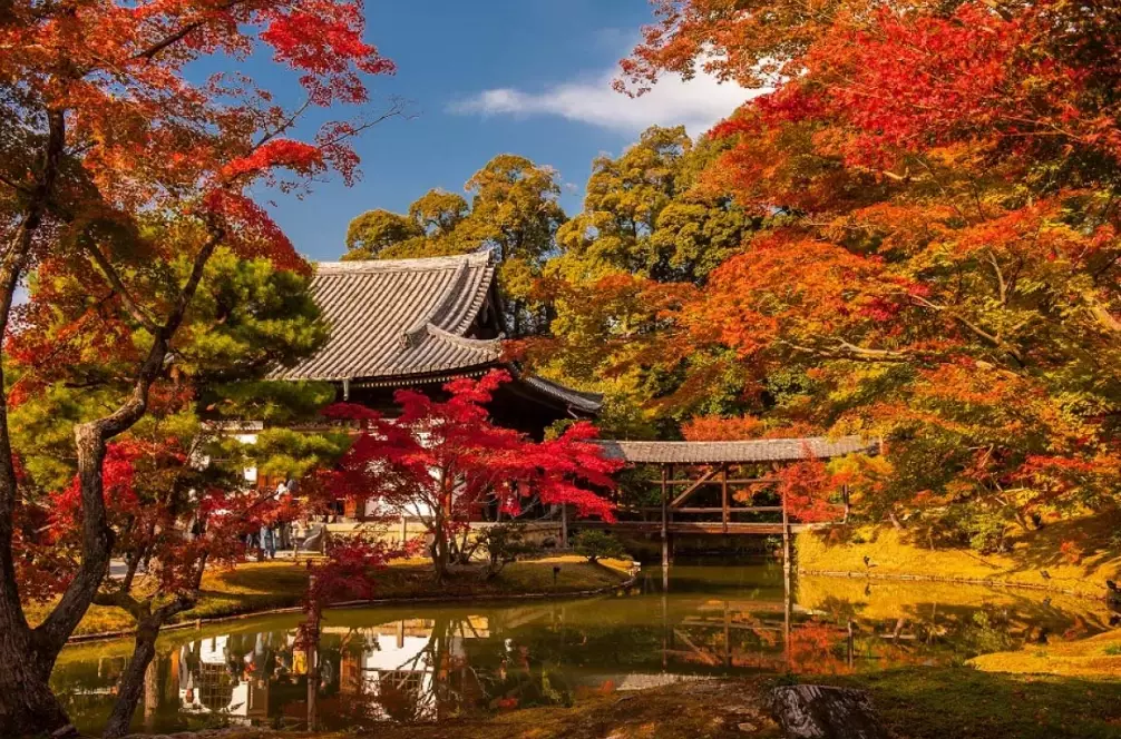best autumn leaves in japan
