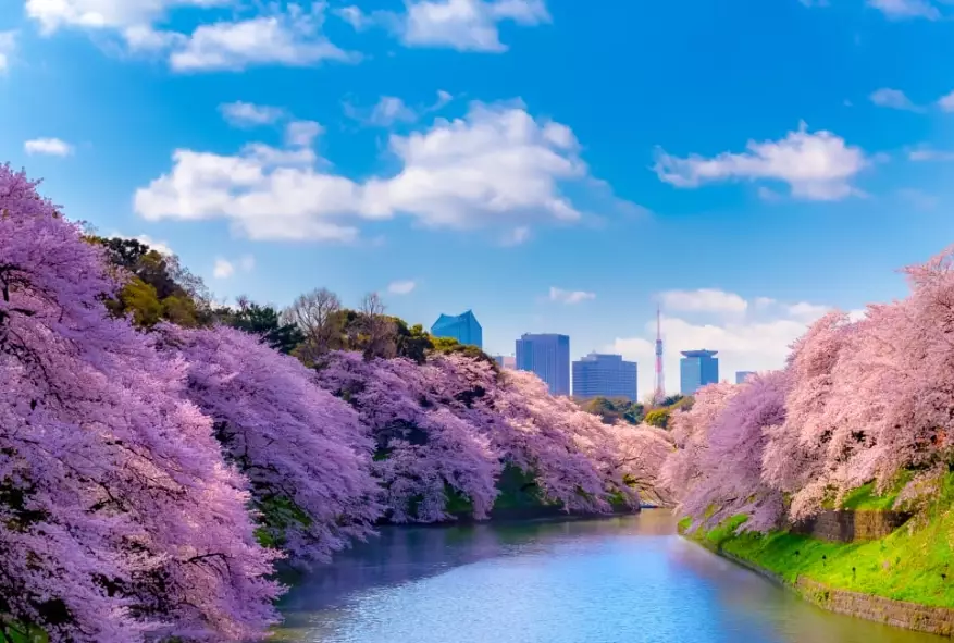 Kanto Travel Guide: Your Ultimate Itinerary & Insider Tips