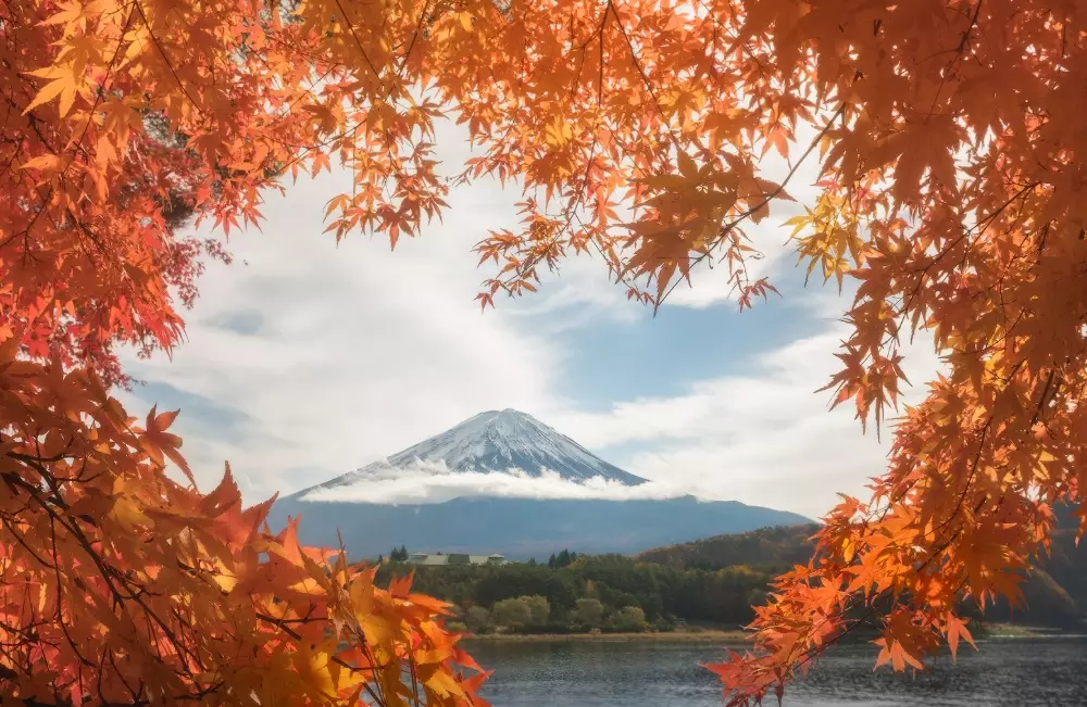 best autumn leaves in japan