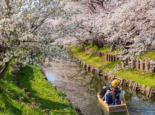 Kawagoe travel guide