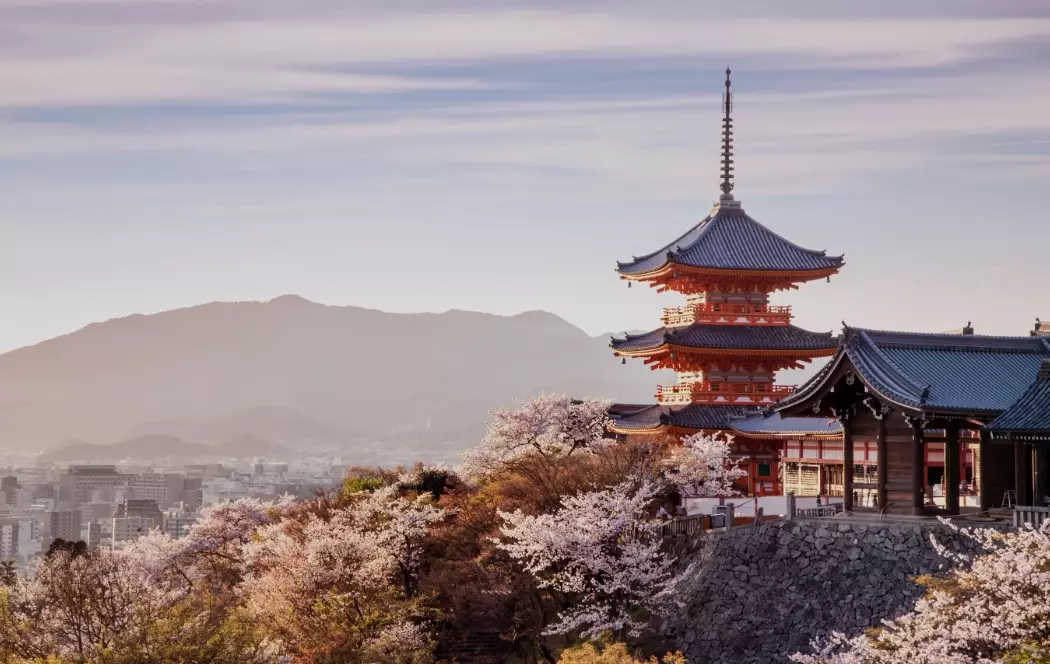 Kansai Travel: Your Complete Guide to Osaka, Kyoto, Nara & Beyond