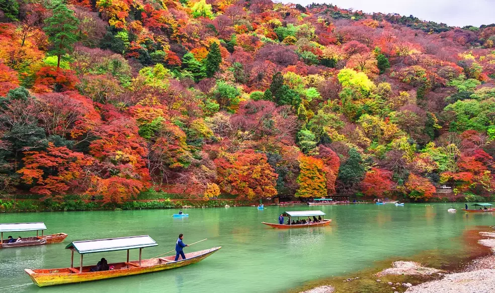 japan fall foliage forecast