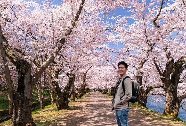 hanami spots tokyo hanami spots tokyo