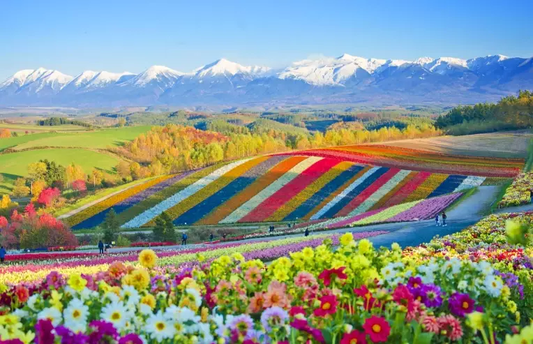 Ultimate Guide to Hokkaido Japan: Travel, Food & Hidden Gems