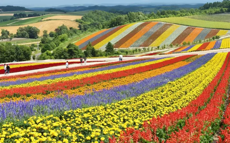 Hokkaido Japan travel