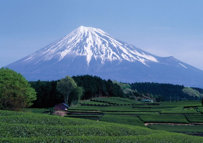 Mt. Fuji Japan
