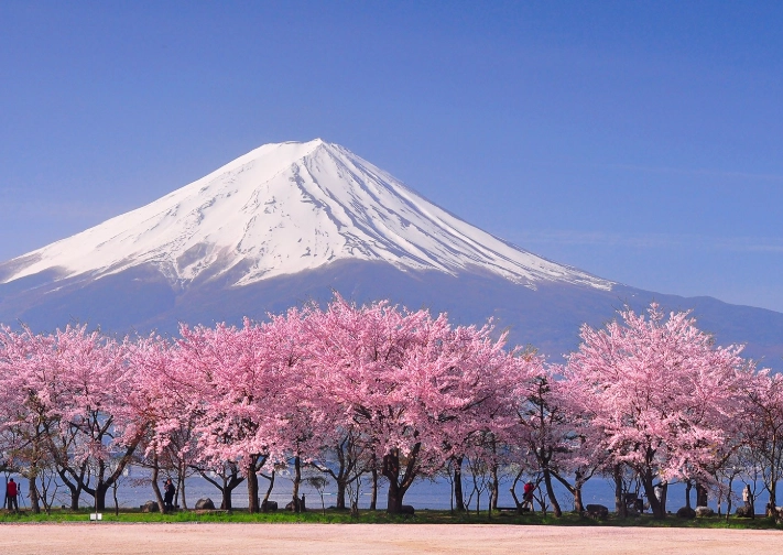 best cherry blossom spots Japan best cherry blossom spots Japan
