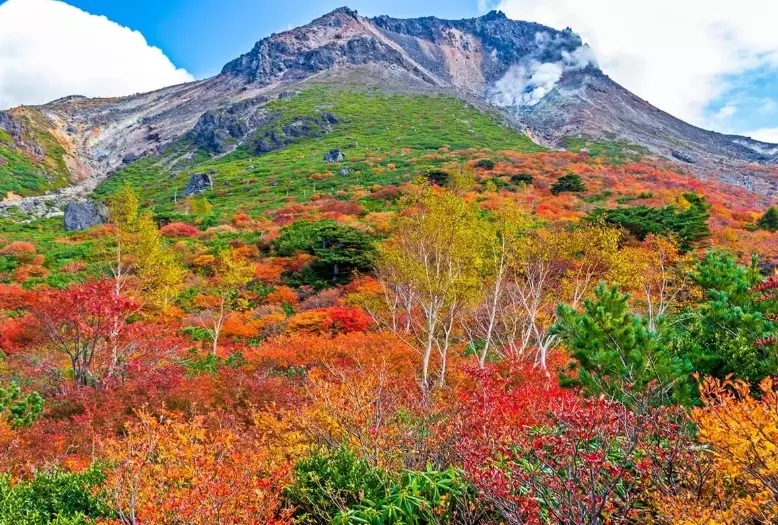 Tochigi prefecture guide