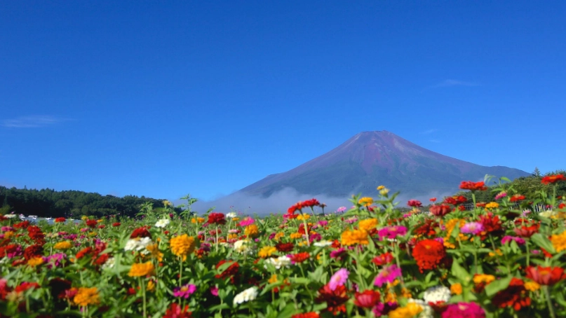 Japan During Summer: Your Ultimate Guide to Festivals, Food & Travel Tips