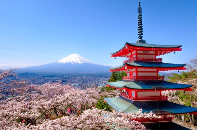 What is Shizuoka famous for