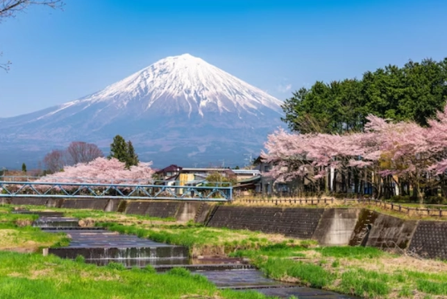 Tokyo to Shizuoka day trip