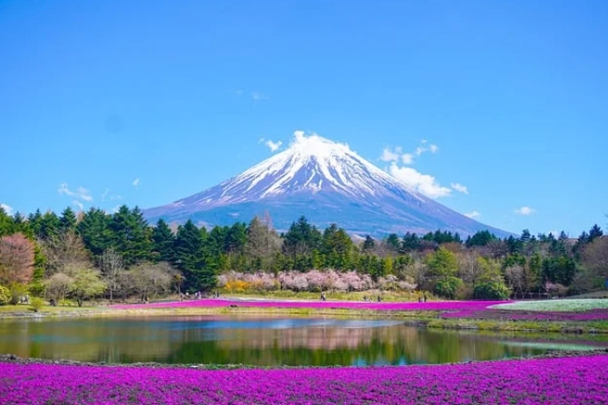 Mount Fuji travel guide