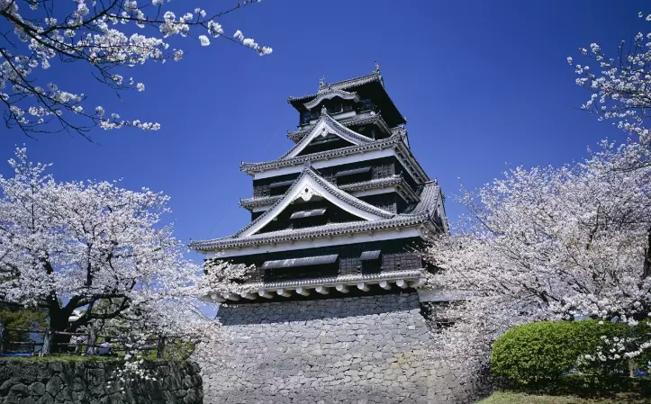 Kumamoto food Kumamoto food