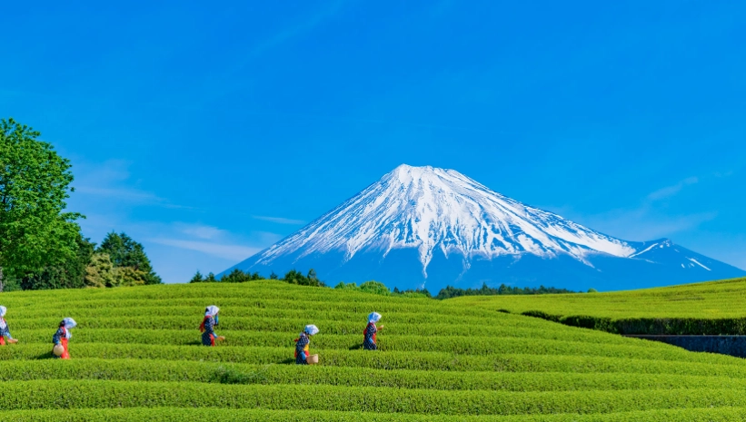 Studio Ghibli Shizuoka