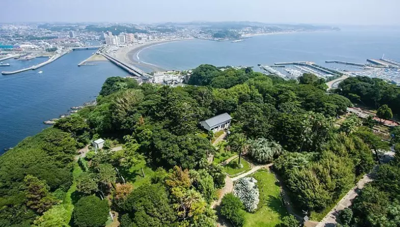 Things to do Enoshima