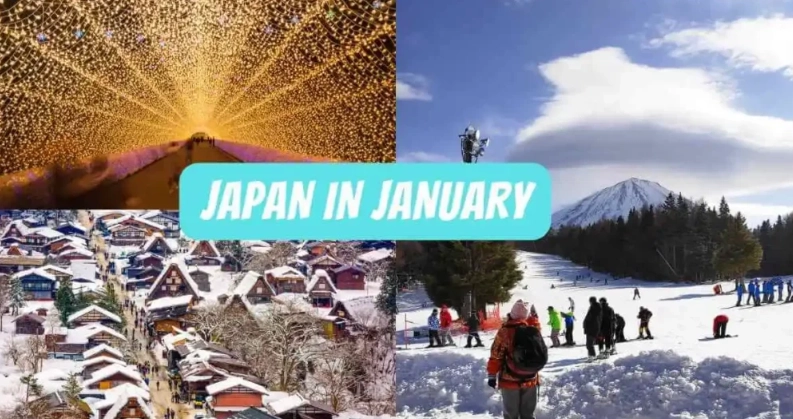 Japan in January: A Complete Guide to Weather, Travel & Must-See Events