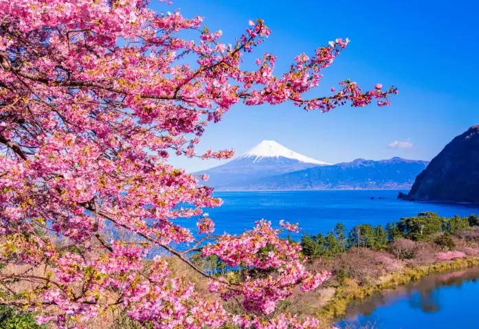 Shizuoka attractions