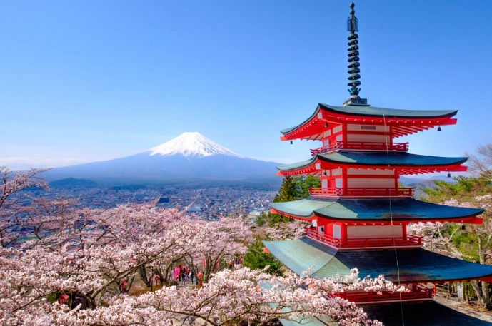 things to do in Shizuoka