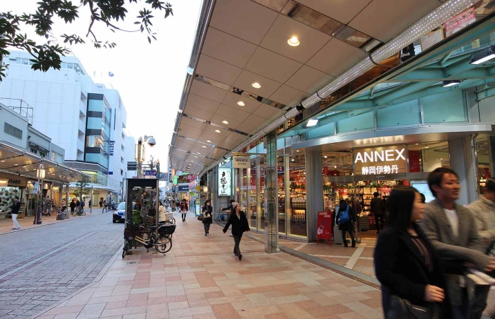 things to do in Shizuoka