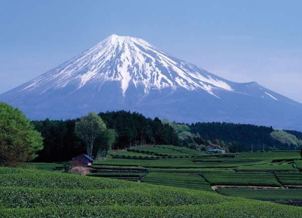 How to get to Shizuoka from Tokyo