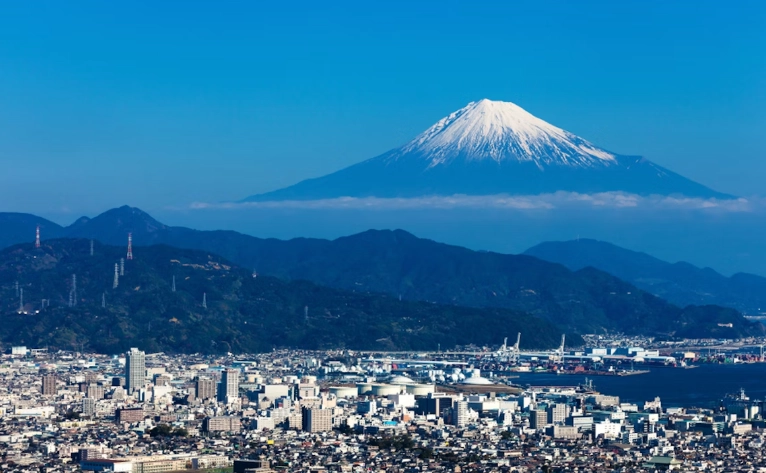 Tokyo to Shizuoka day trip