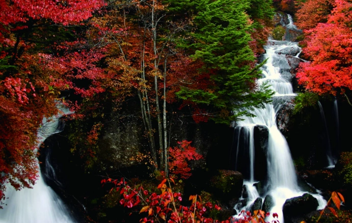 tochigi japan tochigi japan