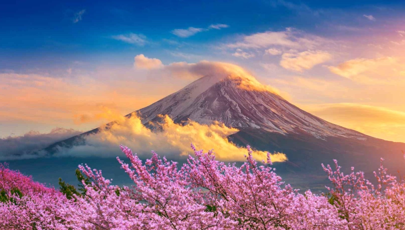 living in Shizuoka as a foreigner