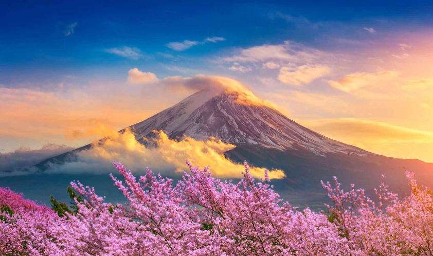 what is Shizuoka famous for